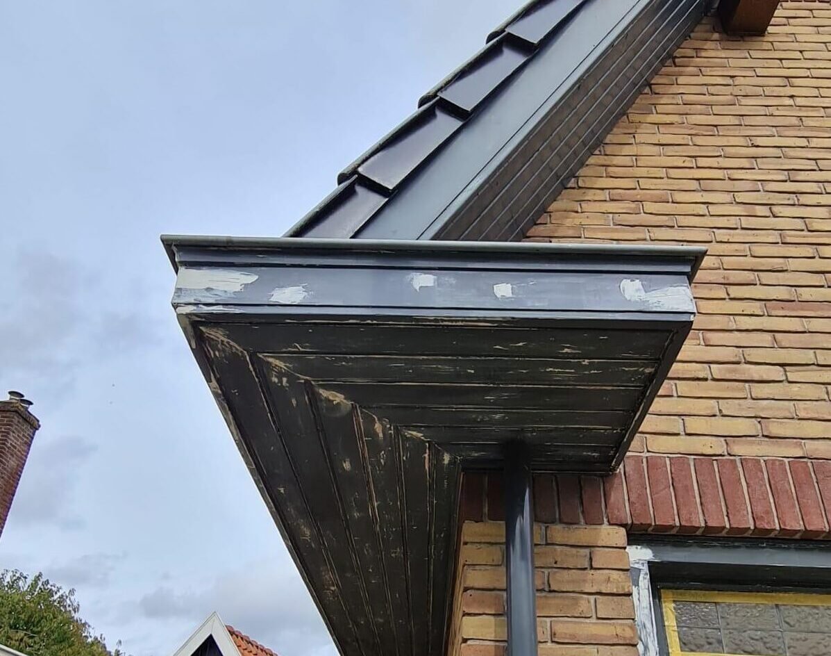 Houtrotreparatie Rosmalen