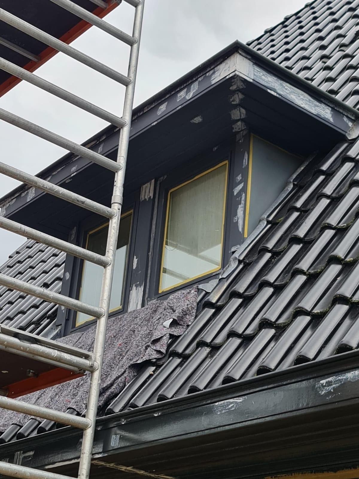 Houtrotreparatie Rosmalen