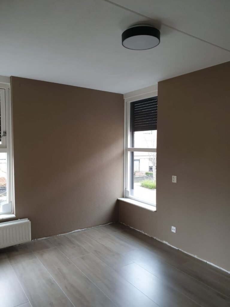 Nieuwbouwschilder Rosmalen